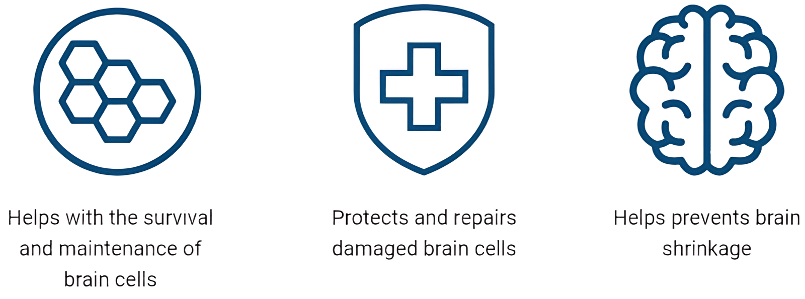 Advanced Memory Formula Ingredients Banner